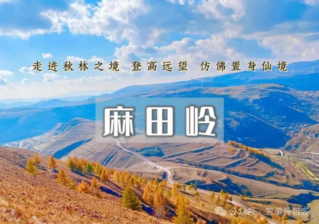 【特价98】1日｜麻田岭｜云中草原漫山秋色小天山の秋染麻田岭-邂逅金色草原的童话(初级强度)